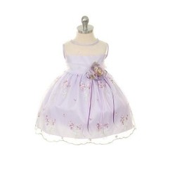 Products: Embroidered Sheer Organza Dress
