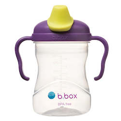 Baby 0 2: B.Box Spout Cup