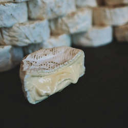 Cheese: Lindis Pass Camembert