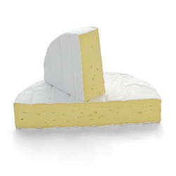 Cheese: Waitaki Camembert