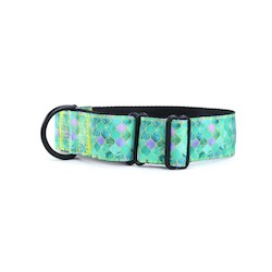 Martingale Collars: Moroccan Mint Martingale Dog Collar