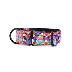 Martingale Collars: Spacehive Martingale Dog Collar