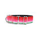 Watermelon Martingale Dog Collar
