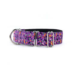 Martingale Collars: Spooky Night Martingale Dog Collar
