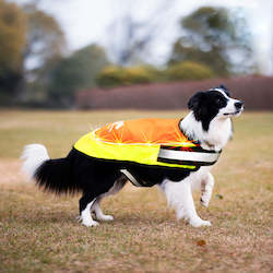 All: Laroo | LED Light Up Dog Safety Vest