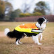 Laroo | LED Light Up Dog Safety Vest