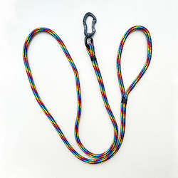 Handcrafted Leads: Black Rainbow Rope Leash