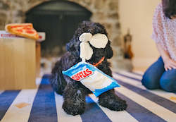 All: P.L.A.Y. Snack Attack | FLUFFLES CHIPS Dog Toy