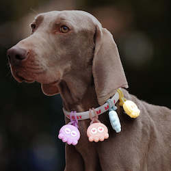 All: Laroo | Candy Octopus Dog Safety Light