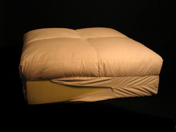Soft furnishing wholesaling: Pillow top TouchDOWN