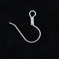 Silver Ear Hook