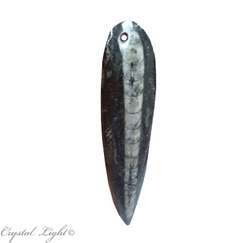 China, glassware and earthenware wholesaling: Orthoceras Fossil Blade Pendant