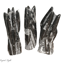 Orthoceras Fossil Tower Small