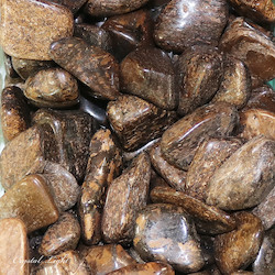 Bronzite Brazil Tumble