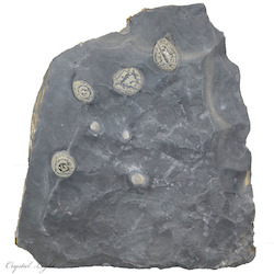 Pyrite Concentration Sphere Plate