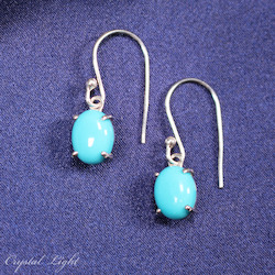 China, glassware and earthenware wholesaling: Turquoise Earrings