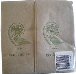 Gift: Box of Eco Choice Serviettes - Dinner