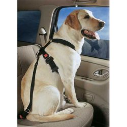 Internet only: PetBuckle Travel Harness
