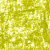 015 Olive Yellow