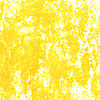 031 Orangish Yellow