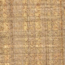 Flecked Papyrus
