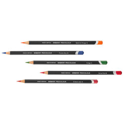 Artist supply: Procolour Pencils