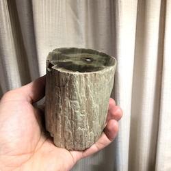 Petrified Wood Log - Zimbabwe